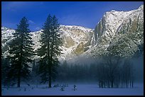 Trees in fog and Yosemite falls, early morning. Yosemite National Park, California, USA.