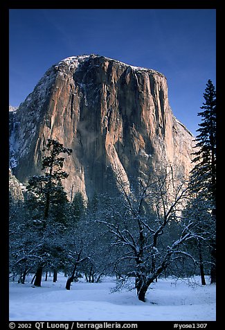 West face of El Capitan in winter. Yosemite National Park (color)