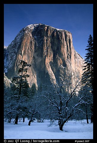 West face of El Capitan in winter. Yosemite National Park, California, USA.