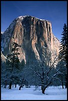 West face of El Capitan in winter. Yosemite National Park, California, USA.