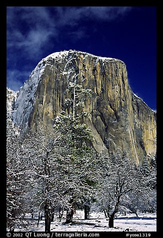 West face of El Capitan in winter. Yosemite National Park, California, USA.
