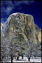 West face of El Capitan in winter. Yosemite National Park, California, USA.