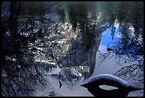 Reflections in Mirror Lake, winter afternoon. Yosemite National Park, California, USA.