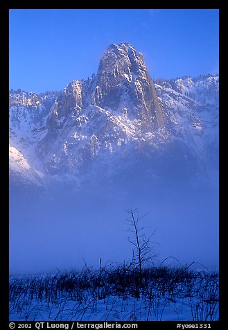 Sentinel Rock rises above the fog of the Valley floor in winter. Yosemite National Park, California, USA.