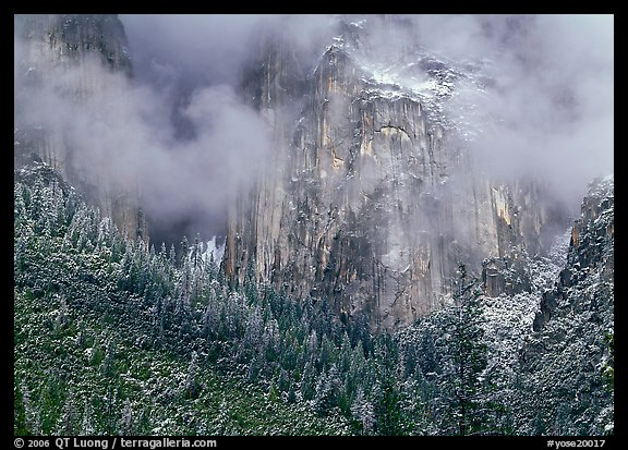 Trees, cliffs and mist. Yosemite National Park, California, USA.