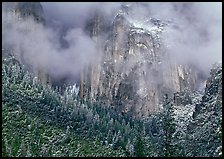 Trees, cliffs and mist. Yosemite National Park, California, USA. (color)
