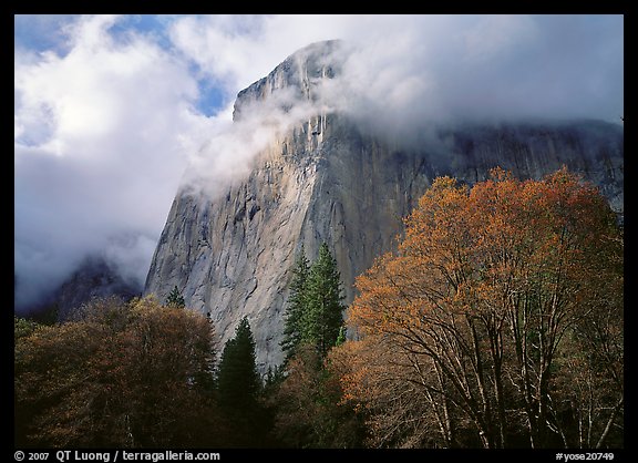 El Capitan with clouds shrouding summit. Yosemite National Park, California, USA.