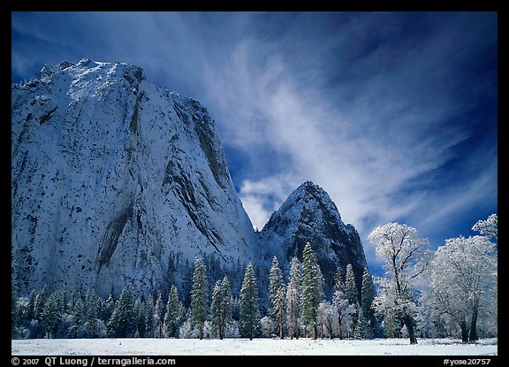 El Capitan Meadow and Cathedral Rocks with fresh snow. Yosemite National Park, California, USA.