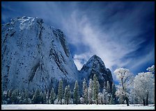 El Capitan Meadow and Cathedral Rocks with fresh snow. Yosemite National Park, California, USA. (color)