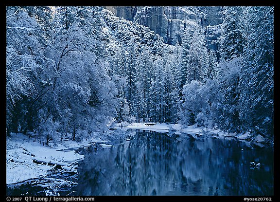 Snowy trees and rock wall reflected in Merced River. Yosemite National Park, California, USA.