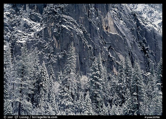 Dark rock wall and snowy trees. Yosemite National Park, California, USA.