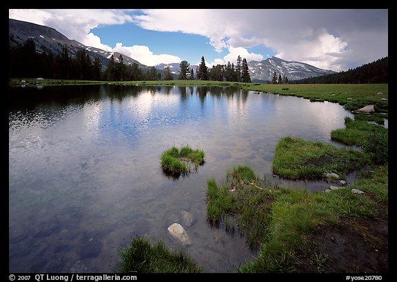 Alpine tarn near Tioga Pass. Yosemite National Park (color)