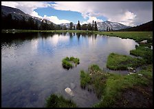 Alpine tarn near Tioga Pass. Yosemite National Park, California, USA.