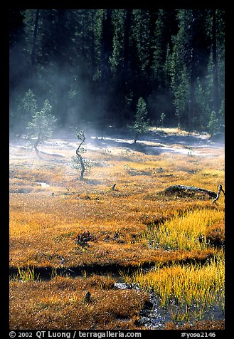 Mist raises from Tuolumne Meadows on a autumn morning. Yosemite National Park, California, USA.