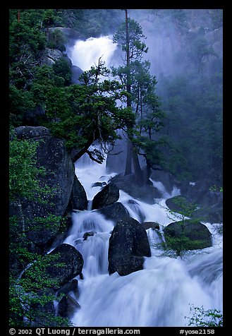 Raging waters in Cascade Creek during  spring. Yosemite National Park, California, USA.