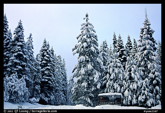 Park entrance in winter. Yosemite National Park (color)