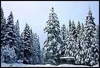 Park entrance in winter. Yosemite National Park, California, USA. (color)