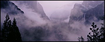 Fog in Yosemite Valley. Yosemite National Park (Panoramic color)