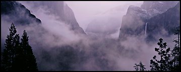 Vernal Fall and tree. Yosemite National Park (Panoramic color)