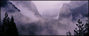 Vernal Fall and tree. Yosemite National Park (Panoramic color)