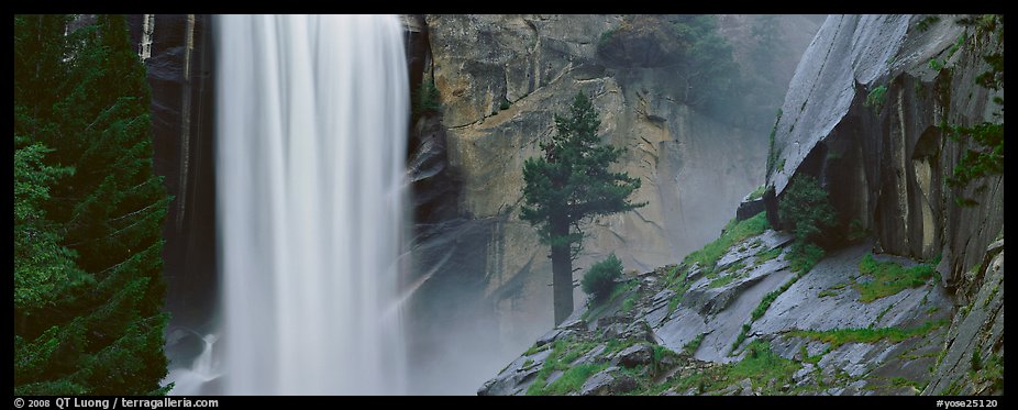 Vernal Fall and tree. Yosemite National Park (color)