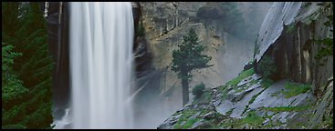 Vernal Fall and tree. Yosemite National Park (Panoramic color)