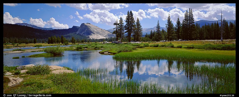 Lambert Dome reflected in seasonal Tuolume Meadows pond. Yosemite National Park (color)