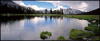 Alpine tarn near Tioga Pass. Yosemite National Park (Panoramic color)