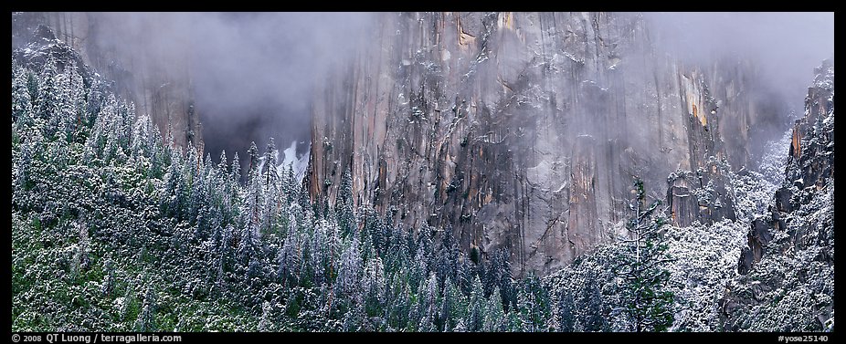 Cliffs and distant snowy trees. Yosemite National Park (color)