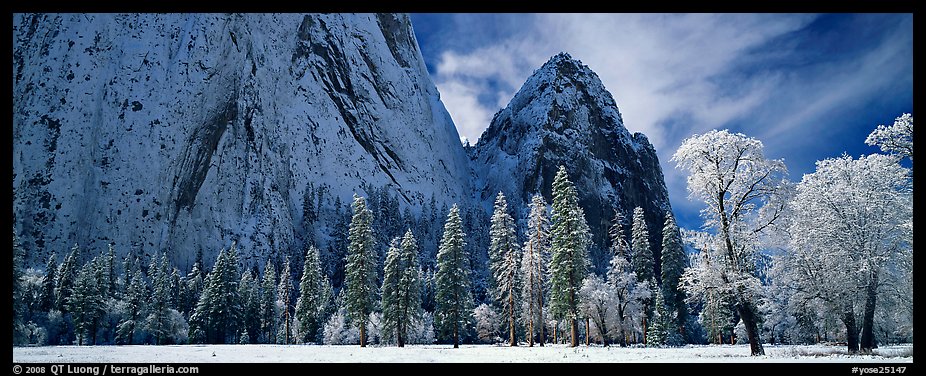 Winter scene with snow-covered trees and Cathdral Rocks. Yosemite National Park (color)