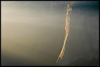 El Capitan, hazy late afternoon. Yosemite National Park, California, USA.