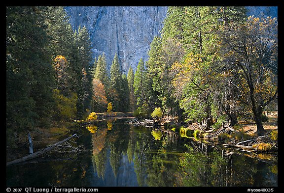 Merced River, trees, and rock wall. Yosemite National Park, California, USA.