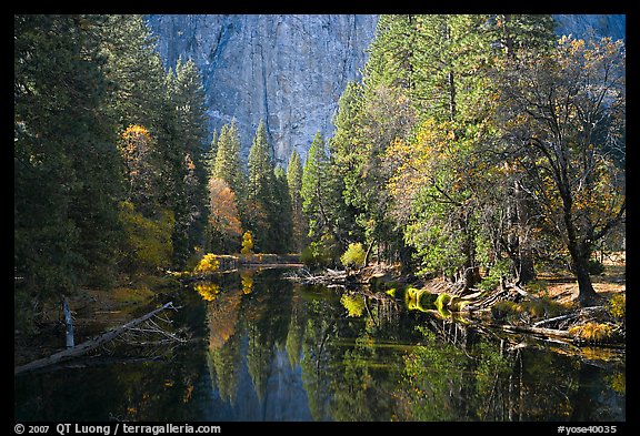 Merced River, trees, and rock wall. Yosemite National Park, California, USA.