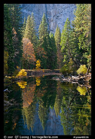 Merced River, trees and reflections at the base of Cathedral Rocks. Yosemite National Park, California, USA.