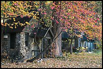 Private houses in autumn. Yosemite National Park, California, USA. (color)