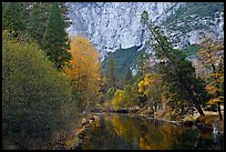 Trees in fall foliage bordering Merced River. Yosemite National Park, California, USA. (color)
