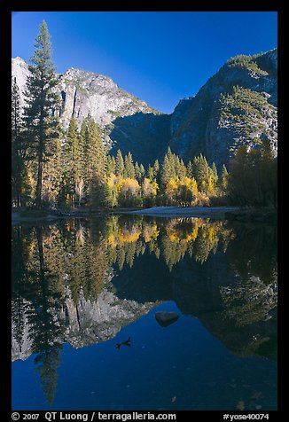 Autumn morning reflections, Merced River. Yosemite National Park (color)