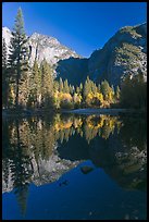 Autumn morning reflections, Merced River. Yosemite National Park, California, USA. (color)