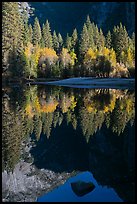 Reflections and rock, Merced River. Yosemite National Park, California, USA. (color)