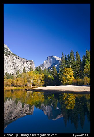 Trees in fall foliage and Half-Dome reflected in Merced River. Yosemite National Park, California, USA.