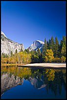 Trees in fall foliage and Half-Dome reflected in Merced River. Yosemite National Park, California, USA. (color)
