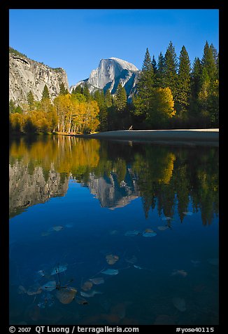 Fallen leaves, Merced River, and Half-Dome reflections. Yosemite National Park, California, USA.