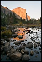 Boulders in Merced River and El Capitan at sunset. Yosemite National Park, California, USA.