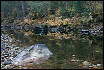 Boulders, pebbles and ferms along  Merced River. Yosemite National Park, California, USA.