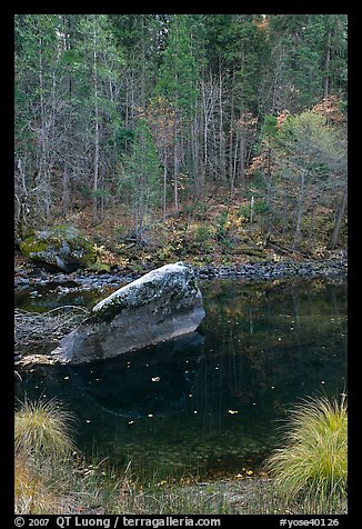 Boulder and reflections in  Merced River in autumn. Yosemite National Park, California, USA.