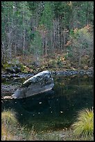 Boulder and reflections in  Merced River in autumn. Yosemite National Park, California, USA.