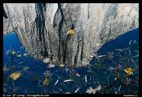 El Capitan reflection. Yosemite National Park, California, USA.