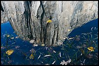 El Capitan reflection. Yosemite National Park ( color)