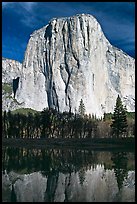 El Capitan and Merced River, morning. Yosemite National Park ( color)