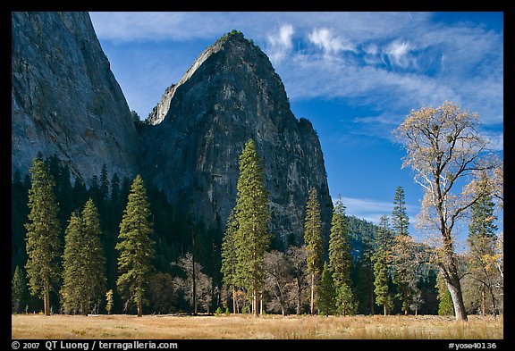 El Capitan Meadow and Cathedral Rocks in autumn. Yosemite National Park, California, USA.